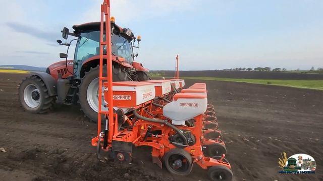 Обкатка нового трактора Case Maxxum 125 с сеялкой GASPARDO на посев подсолнечника! смотреть онлайн