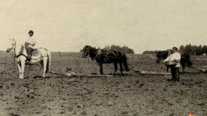 Видеоурок «Как хлеб на стол приходит»