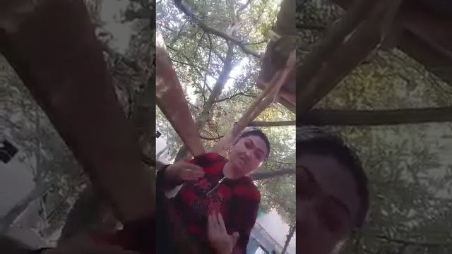 ИНТЕРНЕТТИ ЖАРГА БАТКЕНДИК КЕЛИНДИН ВИДЕОСУ ТАРАДЫ 😅😂🤣 Көрсөң күлүп жарыласың смотреть онлайн