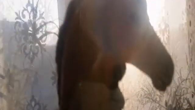 Фотки на закате смотреть онлайн