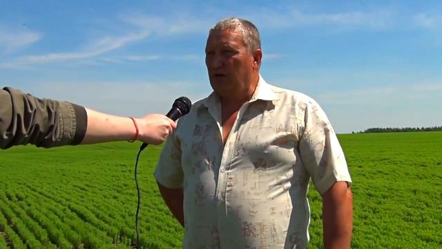 ЛИНЕН ОФ ДЕСНА / LINEN OF DESNA