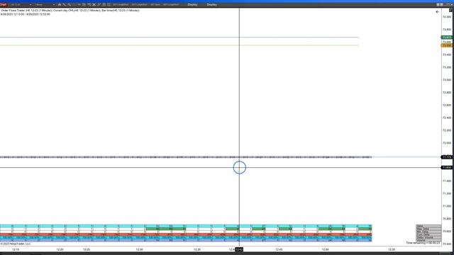 Limit Down Moves And What It Means To Order Flow Analysis смотреть онлайн