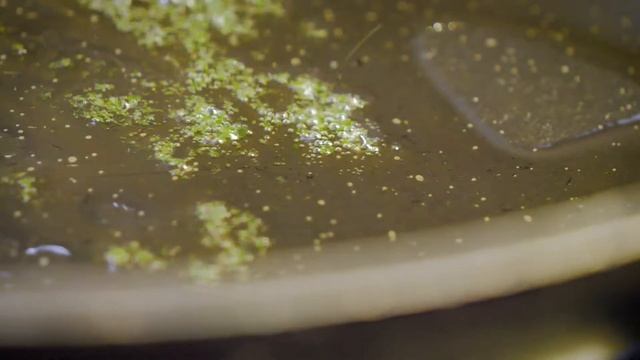 20190527 vadvirag image v2 смотреть онлайн