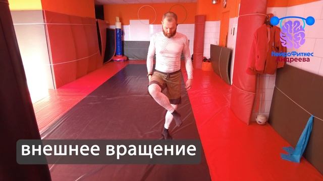 Как называются движения в тазобедренном суставе. Анатомия, термины и примеры смотреть онлайн