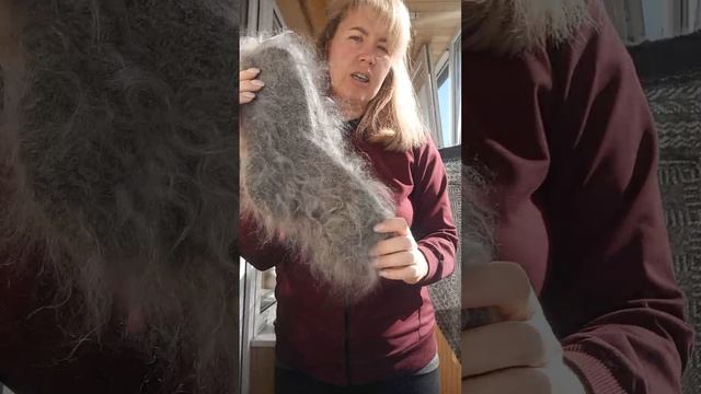 Издалия из козьего пуха. 89206610982. смотреть онлайн