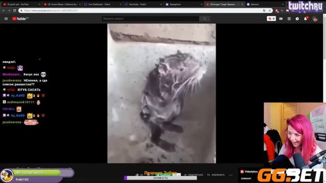 olyashaa смотрит Топ Моменты с Twitch | СТРИМЕРКА ТВОРИТ ПОЛНУЮ ДИЧЬ | КЛИПЫ С ВК ФЕСТ смотреть онлайн