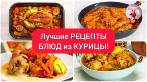 Лучшие РЕЦЕПТЫ БЛЮД из КУРИЦЫ!
