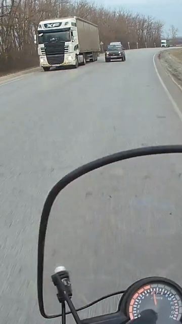 Трёхполосочник. смотреть онлайн