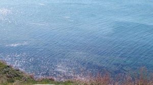 Море video_2025-03-20_19-15-18