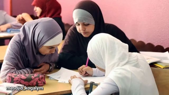 Получение знаний – это как рыть колодец при помощи иголки. смотреть онлайн