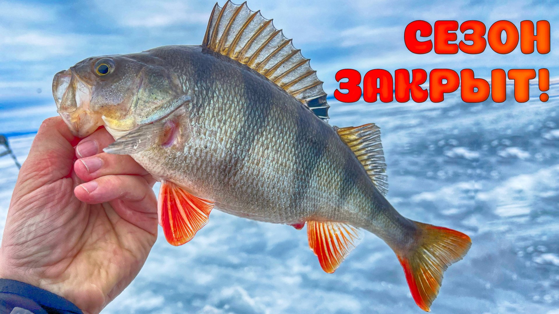 ЗИМНЯЯ РЫБАЛКА ВСЕ!!! ВОТ И ЗАКРЫЛ СЕЗОН! Ловля окуня на мормышку и балансир.