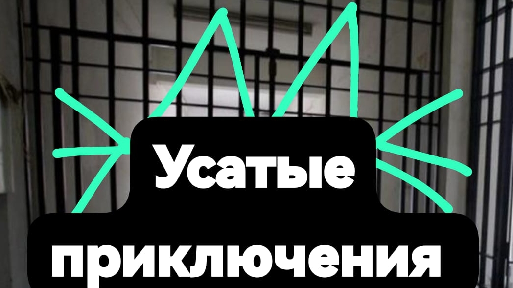 УСАТЫЕ ПРИКЛЮЧЕНИЯ (побег из тюрьмы )