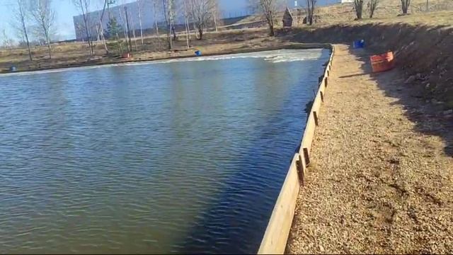 WhatsApp Video 2025-03-20 at 16.16.15 смотреть онлайн