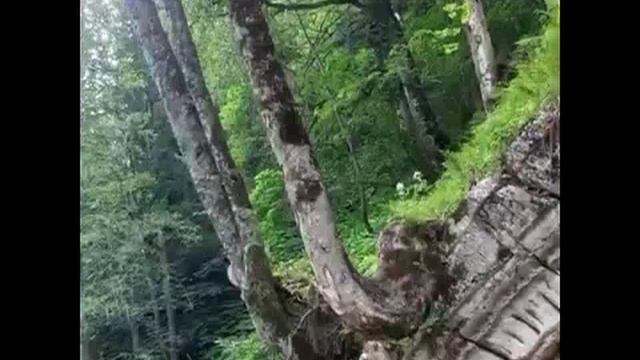 Лето, солнце, море!!!