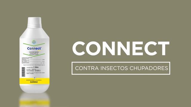 Día de campo COLOMBIA | Parcela Bayer смотреть онлайн