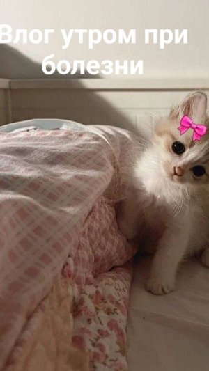 Мой мини влог утром когда я болею 😌/my vlog 💗/хочу в рекомендации