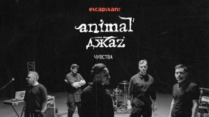 Чувства - Animal Джаz _ elcapitan! кавер