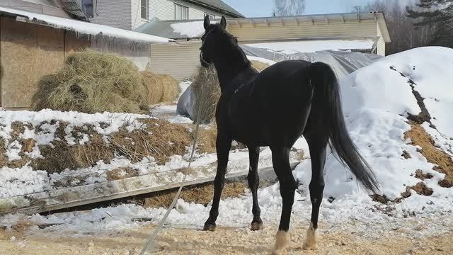 не парк, но тоже неплохо..
VID_20250317_145430.mp4