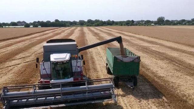 Уборочная страда озимой пшеницы окончена🌾🙏🏻💪 смотреть онлайн
