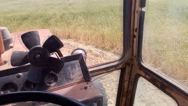 Снова в поле. Тюкуем участок поля, который не понравился владельцу. Пресс подборщик Киргизстан. смотреть онлайн