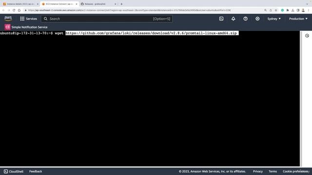 62. Installing Loki and Promtail on Linux (Ubuntu) смотреть онлайн