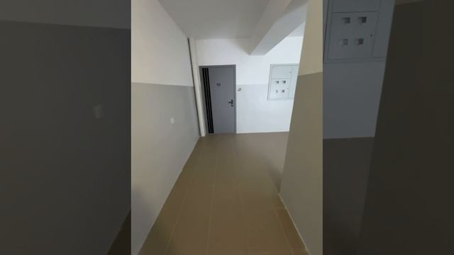 -5716833273548200509 смотреть онлайн