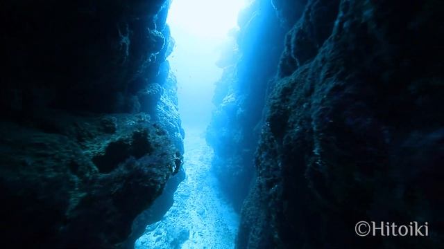 シュノーケリング＠沖縄大度：Free Diving in Japan's Snorkeling Spot Okinawa Odo Beach | Crevasse, Turtle, Barracud смотреть онлайн
