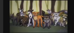 Коты воители/огнезвёзд