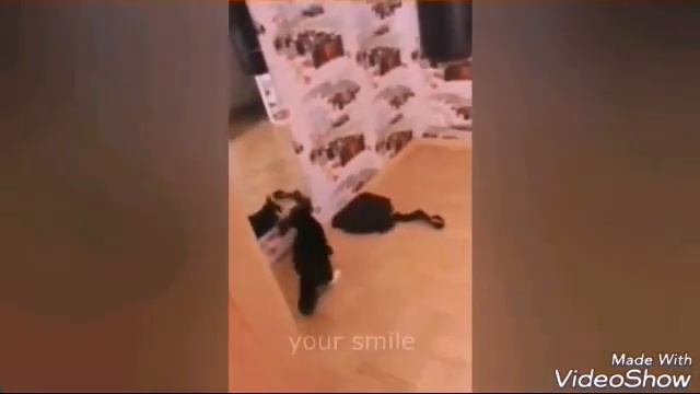 ЛЮБЛЮ ШПАГАТ так каже моя менша сестра смотреть онлайн