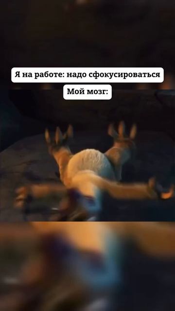 Когда на работе нужно сфокусироваться, мой мозг: