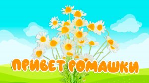 Привет, ромашки! 🌼 Изучаем цветы и их названия | Песенка для детей