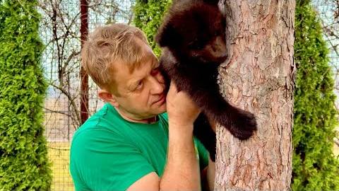 Олег Зубков кормит медвежат и учит Топу с Кнопой лазать по деревьям))) смотреть онлайн