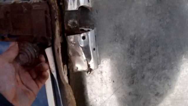 Весна близко, курехи в ожидании.....