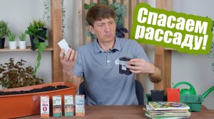 Вот почему желтеет рассада! 7 распространенных причин