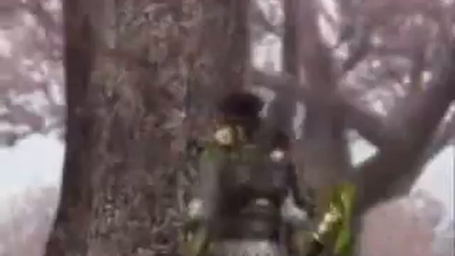 Hey Juliet - Dynasty Warriors & Samurai Warriors MV