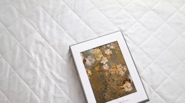 Cotton dreams дизайн Ginza