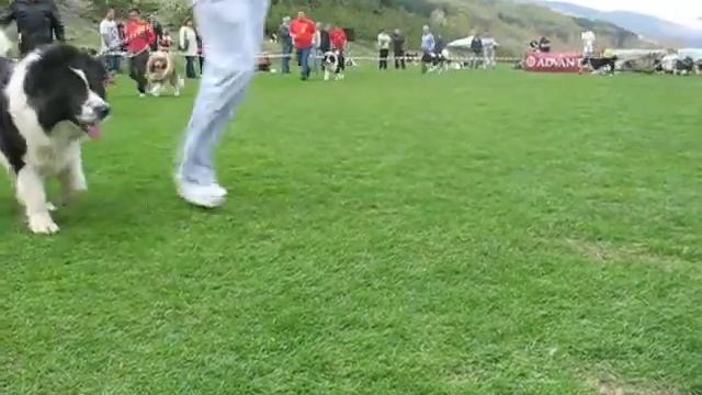 Изложба на МАКК в село Железница смотреть онлайн