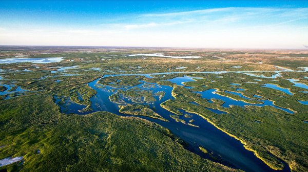 Дельта Волги