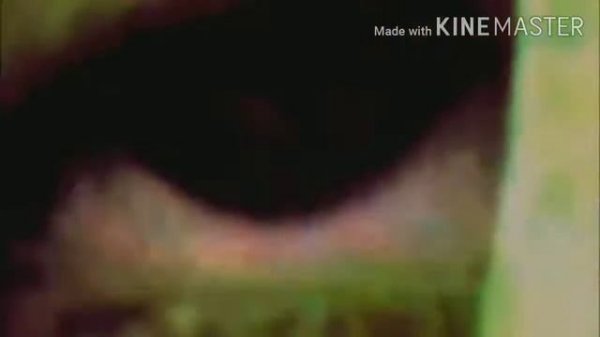 Descargar o ver online Malcolm en Mega audio latino HD 720p