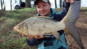 Рыбалка 2025 первая на карася и леща