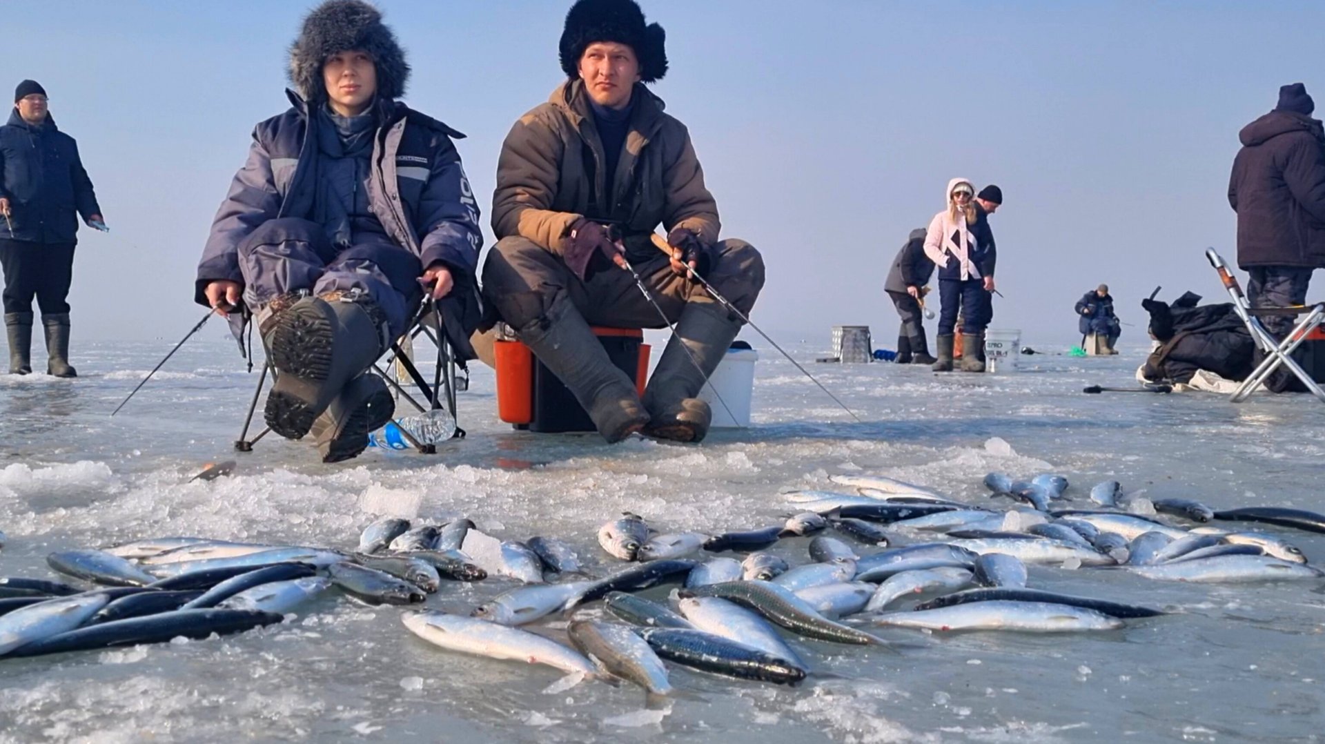 МНОГО РЫБЫ. Селёдка Как из Бочки! Рыбалка в Приморье. смотреть онлайн