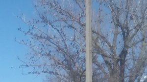 VID_20250320_102027.mp4