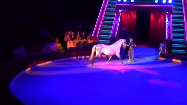 Анастасия Стыкан Федотова Дрессура лошадей 2013 смотреть онлайн