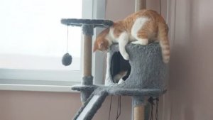 В гостях у Либе и Мурилио