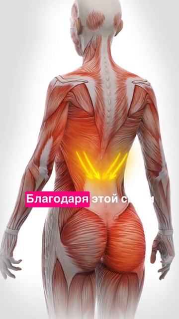 Плоская попа, что делать? 🍑 (Ответ в описании) смотреть онлайн