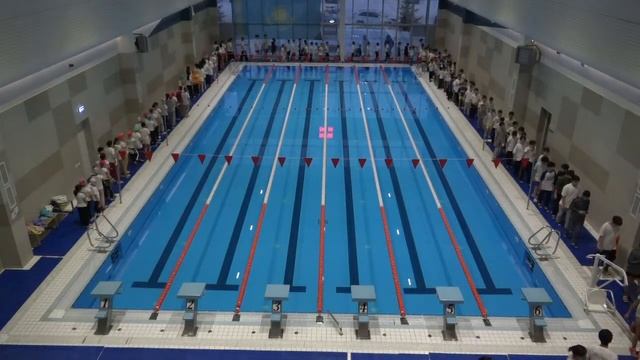 Турнир по плаванию смотреть онлайн