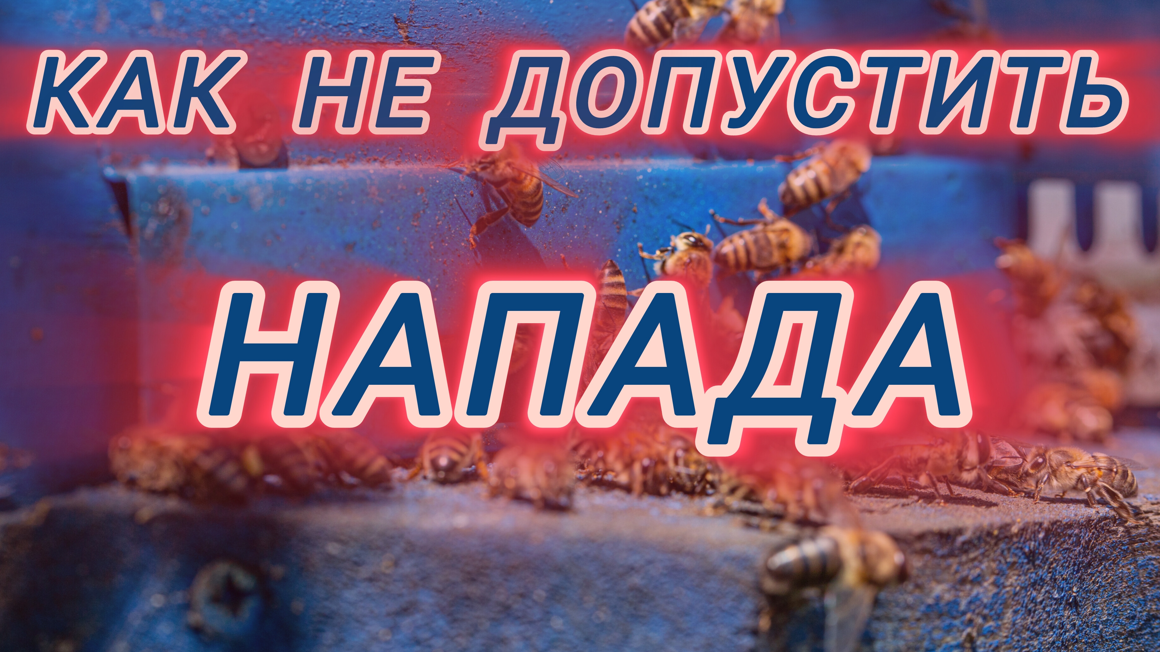 Как не допустить напада 🐝 смотреть онлайн