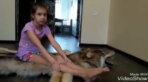 Как научится сесть на правый шпагат