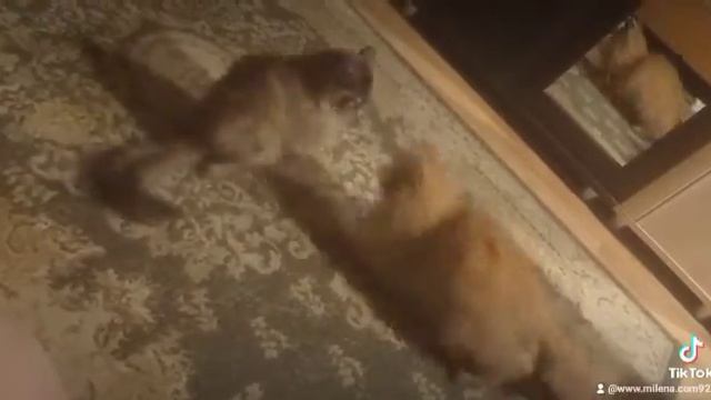 24 Ноябрь 2022 г. смотреть онлайн