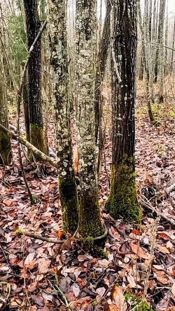 В поисках металлолома смотреть онлайн